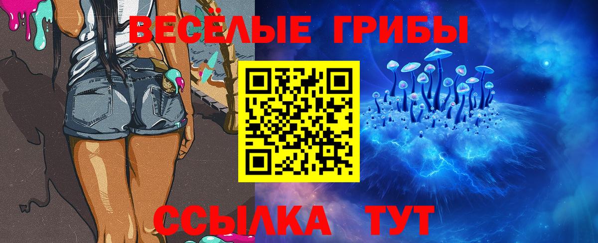 купить  цена  Галлюциногенные грибы GOLDEN TEACHER  Вход с VPN  Камышлов 