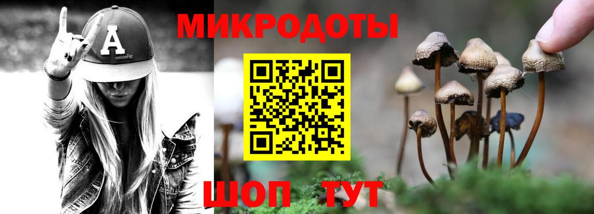 Галлюциногенные грибы Psilocybe Камышлов
